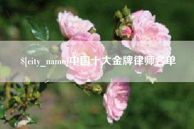 伊犁哈萨克中国十大金牌律师名单