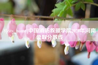 伊犁哈萨克中国消防救援学院2020年河南录取分数线