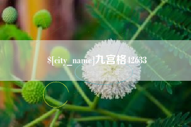 伊犁哈萨克九宫格42633
