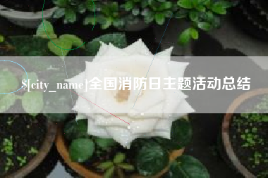 伊犁哈萨克全国消防日主题活动总结