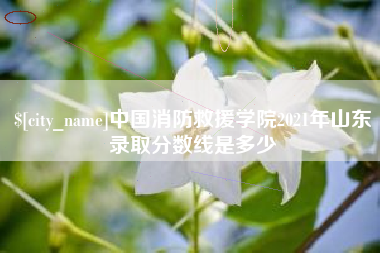 伊犁哈萨克中国消防救援学院2021年山东录取分数线是多少