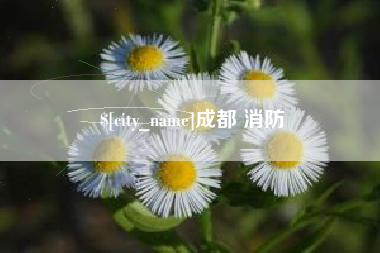 伊犁哈萨克成都 消防