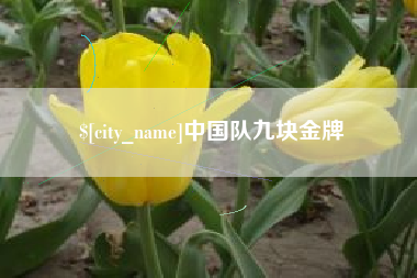 伊犁哈萨克中国队九块金牌