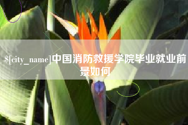 伊犁哈萨克中国消防救援学院毕业就业前景如何