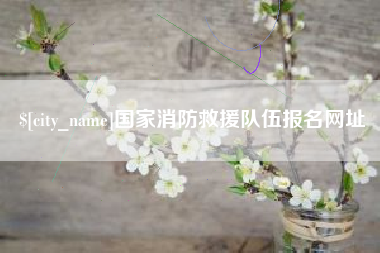 伊犁哈萨克国家消防救援队伍报名网址