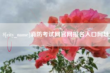 伊犁哈萨克消防考试网官网报名入口网址