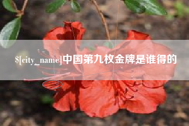伊犁哈萨克中国第九枚金牌是谁得的
