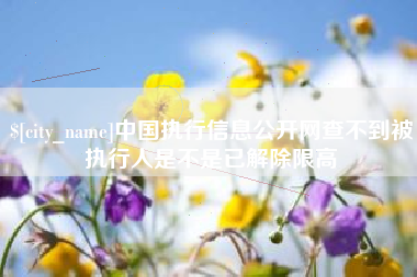 伊犁哈萨克中国执行信息公开网查不到被执行人是不是已解除限高