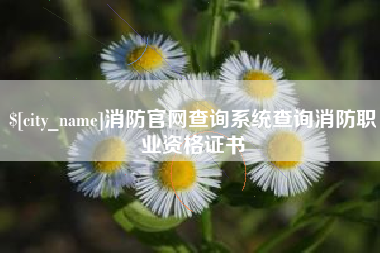 伊犁哈萨克消防官网查询系统查询消防职业资格证书