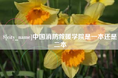 伊犁哈萨克中国消防救援学院是一本还是二本