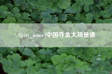 伊犁哈萨克中国夺金大项是谁