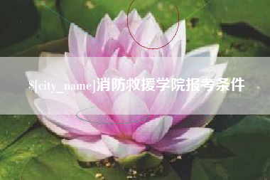 伊犁哈萨克消防救援学院报考条件