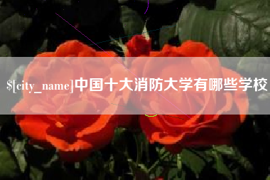 伊犁哈萨克中国十大消防大学有哪些学校
