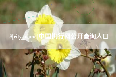伊犁哈萨克中国执行网公开查询入口