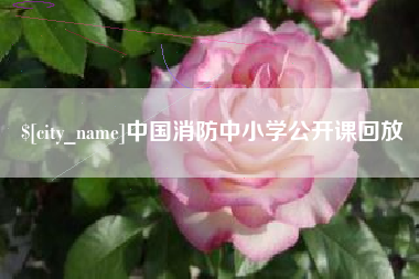 伊犁哈萨克中国消防中小学公开课回放