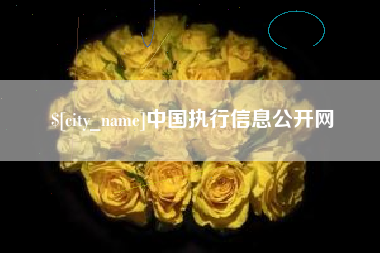伊犁哈萨克中国执行信息公开网