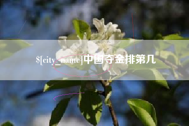 伊犁哈萨克中国夺金排第几