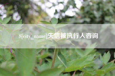 伊犁哈萨克失信被执行人杳询