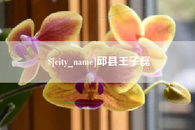 伊犁哈萨克邱县王子磊