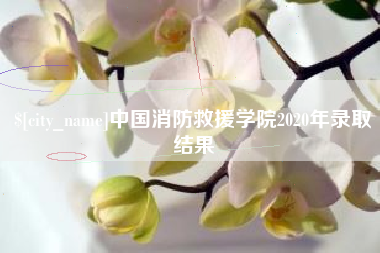 伊犁哈萨克中国消防救援学院2020年录取结果