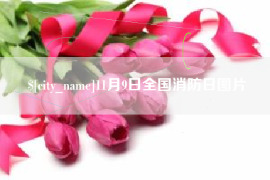 伊犁哈萨克11月9日全国消防日图片