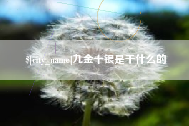 伊犁哈萨克九金十银是干什么的