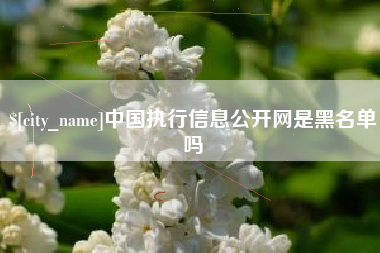 伊犁哈萨克中国执行信息公开网是黑名单吗