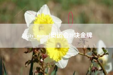 伊犁哈萨克奥运会39块金牌