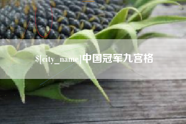 伊犁哈萨克中国冠军九宫格