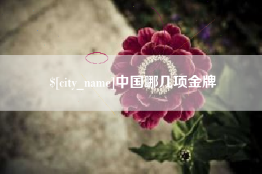 伊犁哈萨克中国哪几项金牌