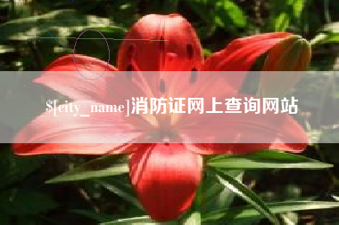 伊犁哈萨克消防证网上查询网站