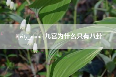 伊犁哈萨克九宫为什么只有八卦