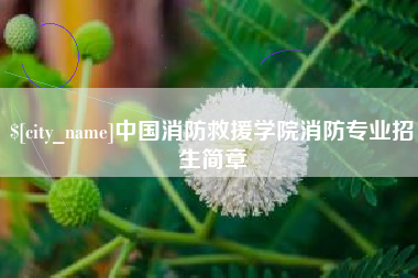 伊犁哈萨克中国消防救援学院消防专业招生简章