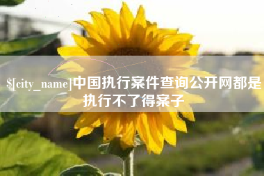 伊犁哈萨克中国执行案件查询公开网都是执行不了得案子