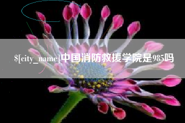 伊犁哈萨克中国消防救援学院是985吗