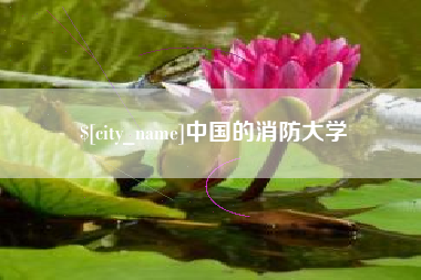 伊犁哈萨克中国的消防大学
