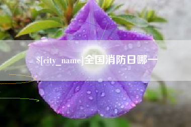 伊犁哈萨克全国消防日哪一