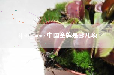 伊犁哈萨克中国金牌是哪几项