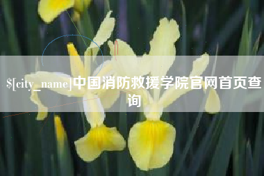 伊犁哈萨克中国消防救援学院官网首页查询