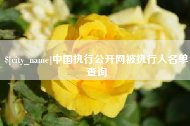 伊犁哈萨克中国执行公开网被执行人名单查询
