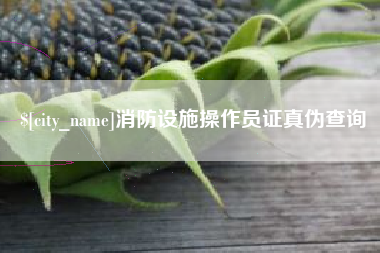 伊犁哈萨克消防设施操作员证真伪查询