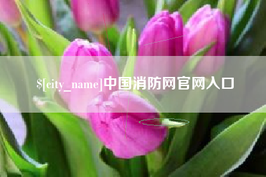 伊犁哈萨克中国消防网官网入口