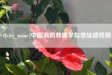 伊犁哈萨克中国消防救援学院地址路线图