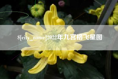 伊犁哈萨克2022年九宫格飞星图