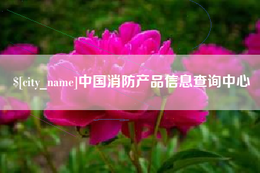 伊犁哈萨克中国消防产品信息查询中心