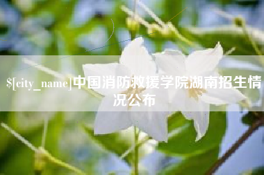 伊犁哈萨克中国消防救援学院湖南招生情况公布