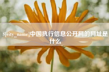 伊犁哈萨克中国执行信息公开网的网址是什么