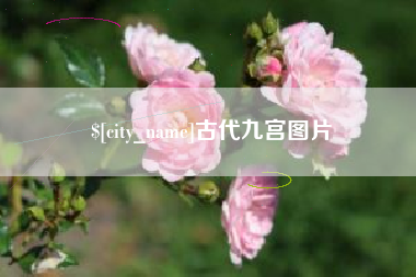 伊犁哈萨克古代九宫图片