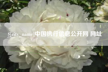 伊犁哈萨克中国执行信息公开网 网址