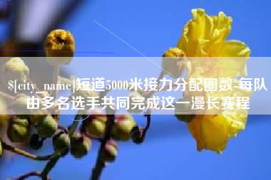 伊犁哈萨克短道5000米接力分配圈数-每队由多名选手共同完成这一漫长赛程